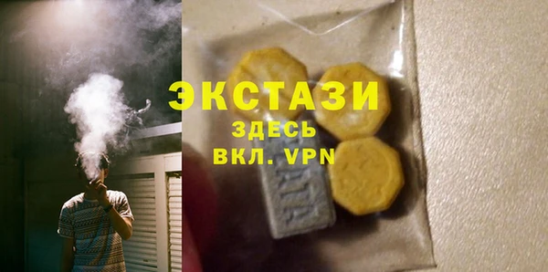 гидра Кодинск