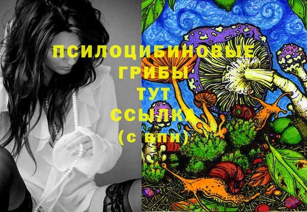 бутират Козловка