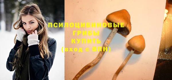 гидра Кодинск