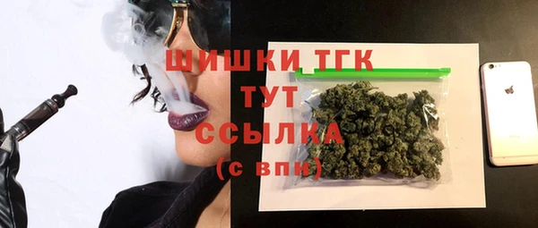 гидра Кодинск
