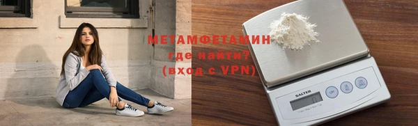 гидра Кодинск
