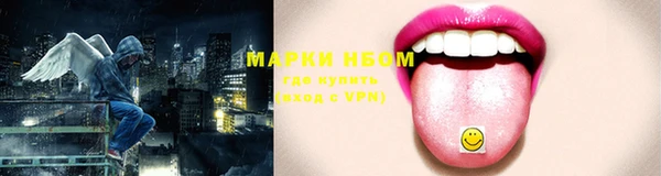 гидра Кодинск