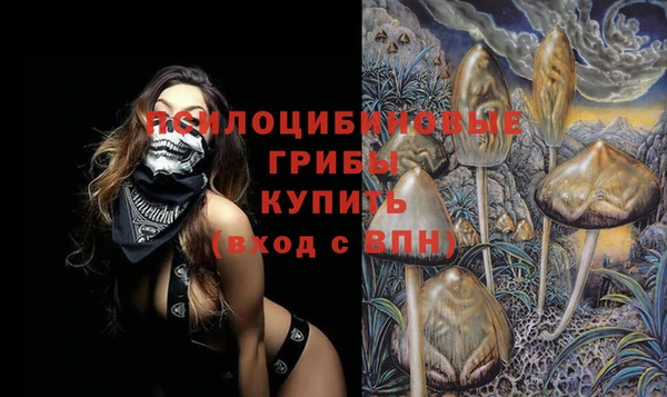 кокс Козельск