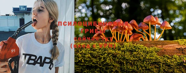 гидра Кодинск