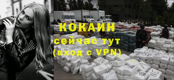 кокс Козельск