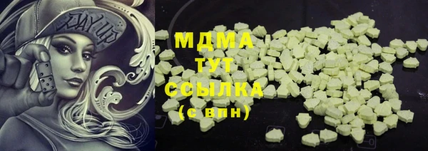 гидра Кодинск
