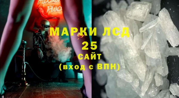 гидра Кодинск