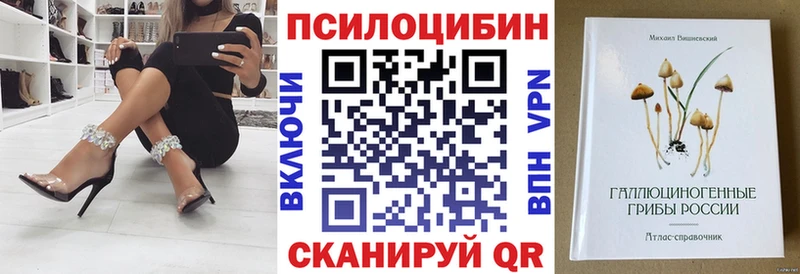 Галлюциногенные грибы мухоморы  Купить закладки  Николаевск-на-Амуре 